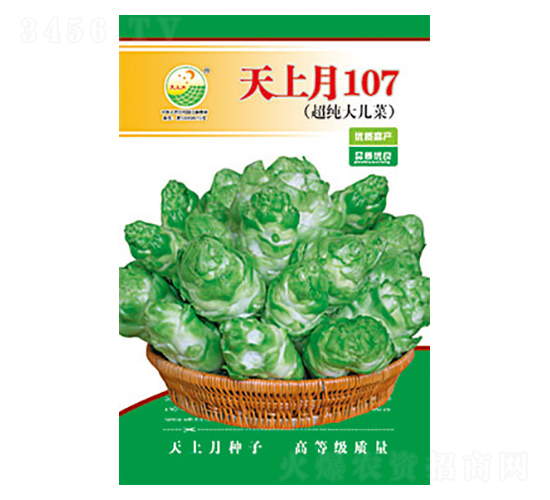 ���˷N��-������107-̫��(l��)�N�I(y��)