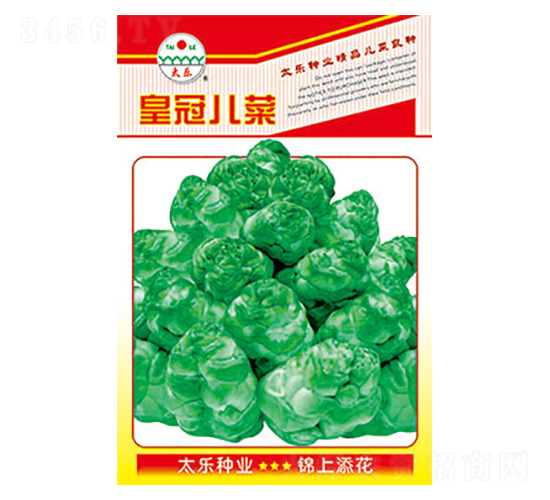 ���˷N��-�ʹڃ���-̫���N�I(y��)