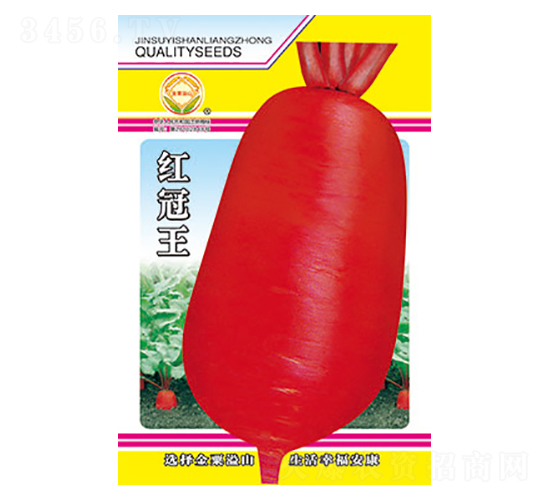 �}���N��-�t����-̫��(l��)�N�I(y��)