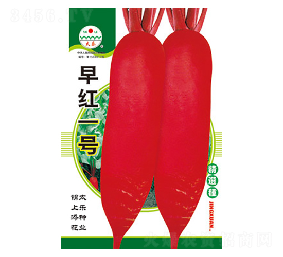 蘿卜種子-早紅一號-太樂種業(yè)