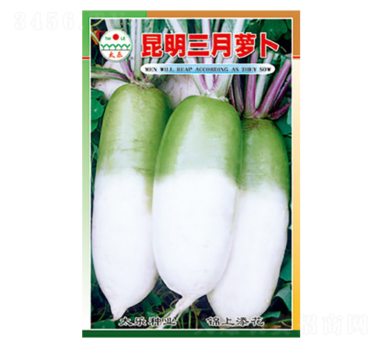 �}���N��-���������}��-̫���N�I(y��)