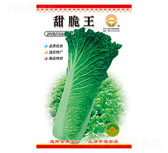 白菜種子-甜脆王-太樂種業(yè)