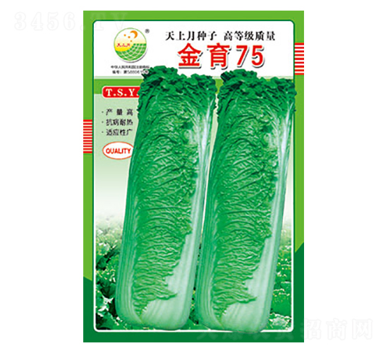 白菜種子-金育75-太樂(lè)種業(yè)