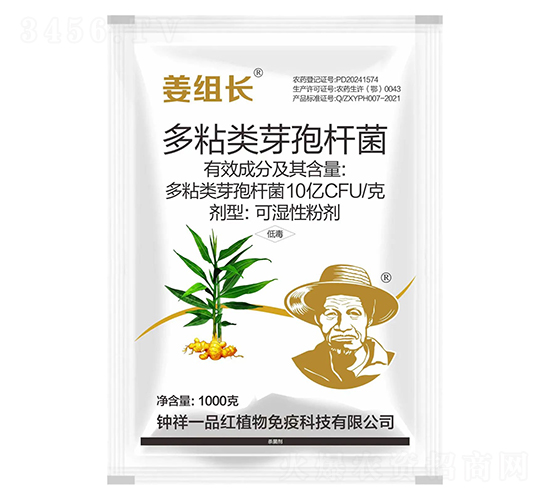 多粘類芽孢桿菌-姜組長-鐘祥一品紅