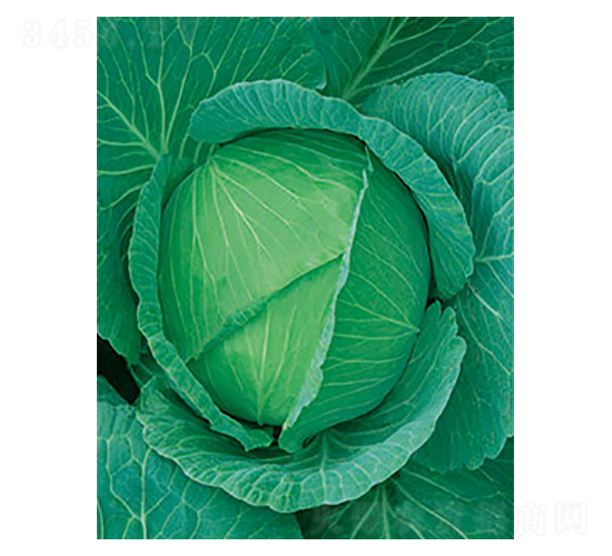 ���Sһ̖���{-̫���N�I(y��)