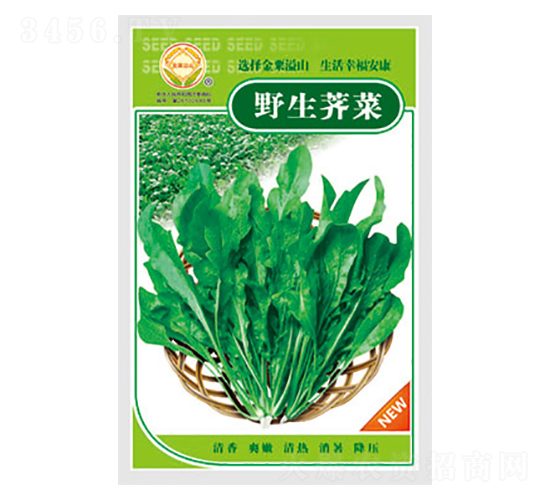 �j�˷N��-Ұ���j��-̫��(l��)�N�I(y��)