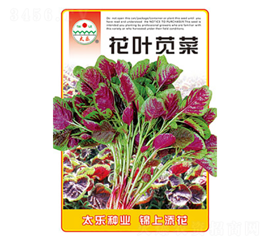 �{�˷N��-���~�{��-̫���N�I(y��)