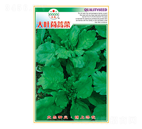 ����N��-���~�����-̫���N�I(y��)