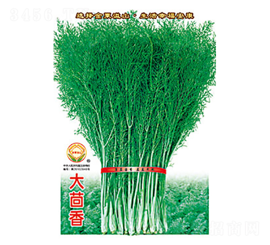 大茴香-太樂(lè)種業(yè)