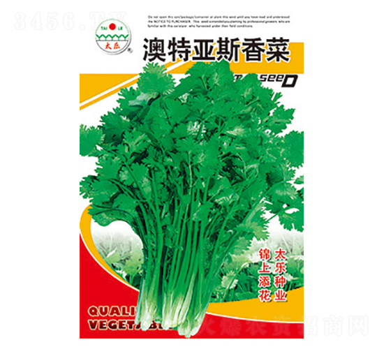 菠菜種子-澳特亞斯菠菜-太樂種業(yè)