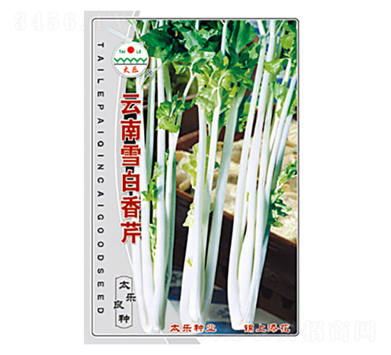 ����ѩ������-̫���N�I(y��)