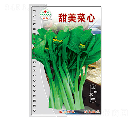 ��������-̫��(l��)�N�I(y��)