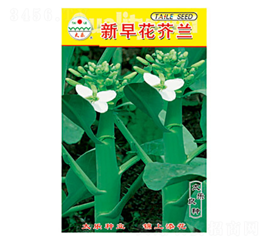 ���m�N��-���绨���m-̫��(l��)�N�I(y��)