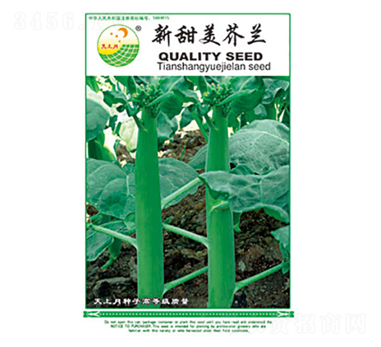 ���m�N��-���������m-̫��(l��)�N�I(y��)