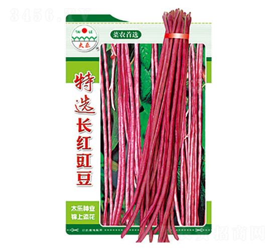 �����N��-���x�L�t����-̫���N�I(y��)