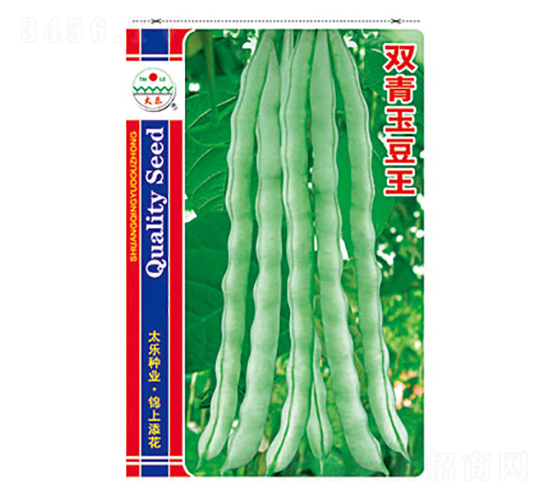 �����N��-�p������-̫���N�I(y��)