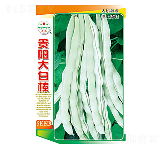 �����N��-�F�(y��ng)��װ�-̫��(l��)�N�I(y��)