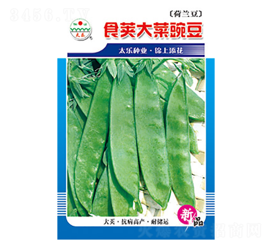 �㶹�N��-ʳ�v����㶹-̫���N�I(y��)