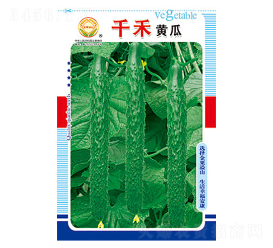 黃瓜種子-千禾黃瓜-太樂種業(yè)