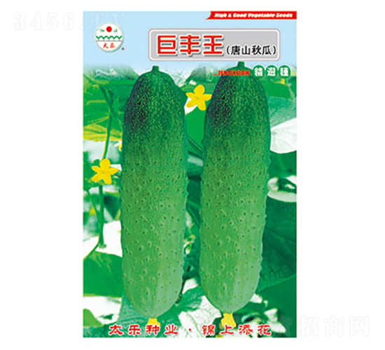 黃瓜種子-巨豐王-太樂(lè)種業(yè)