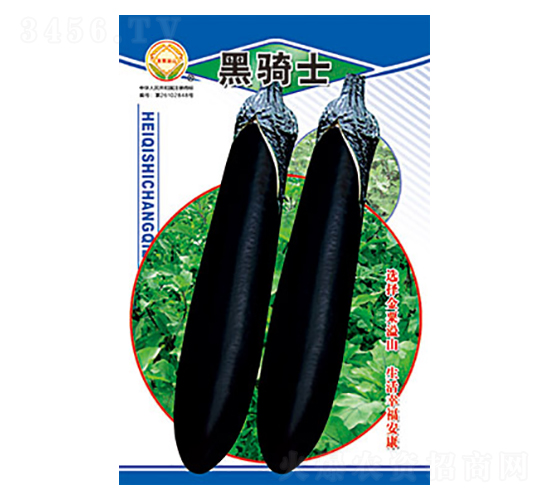 ���ӷN��-���Tʿ-̫���N�I(y��)