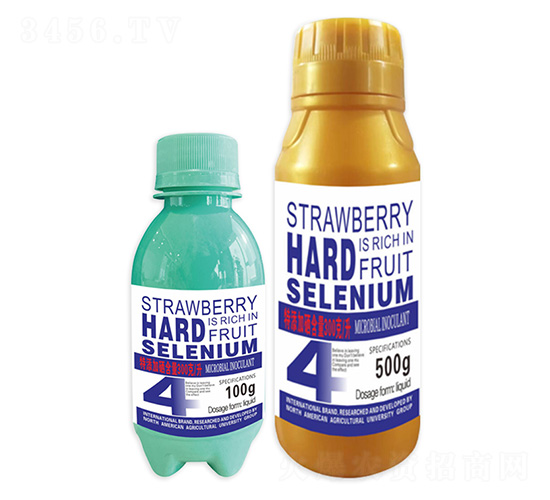 草莓硬果多硒特4號-北美農(nóng)大