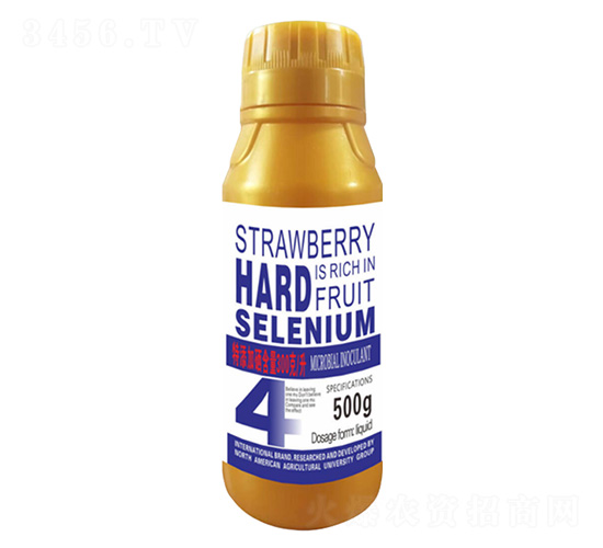 500克草莓硬果多硒特4號-北美農(nóng)大