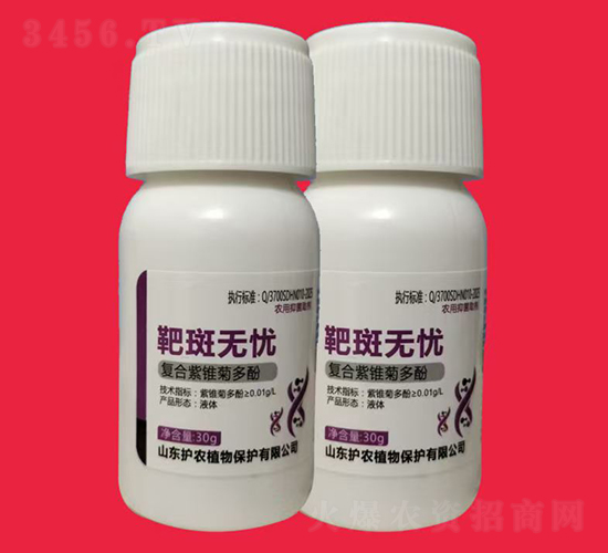 �аߟo�n-�V�V����ˎ������-�o�r(n��ng)ֲ��