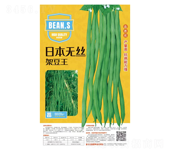 日本無絲架豆王-豆角種子-鑫源種業(yè)