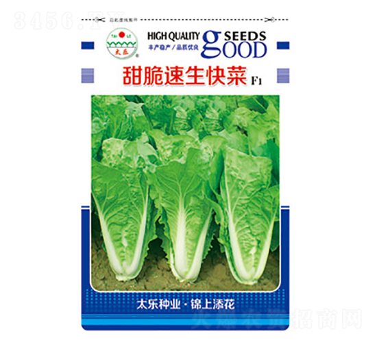 白菜種子-甜脆速生快菜-太樂種業(yè)