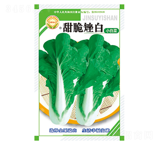 白菜種子-甜脆矬白-太樂種業(yè)