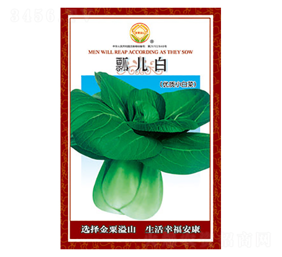 白菜種子-瓢兒白-太樂種業(yè)
