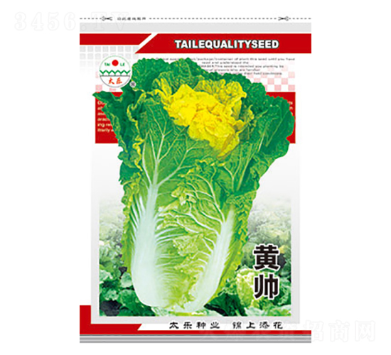 白菜種子-黃帥-太樂(lè)種業(yè)