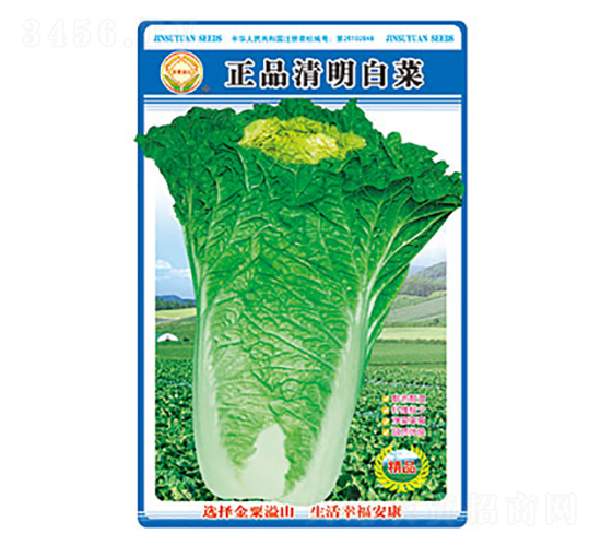 白菜種子-清明白菜-太樂種業(yè)