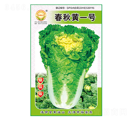 白菜種子-春秋黃一號精品版-太樂種業(yè)