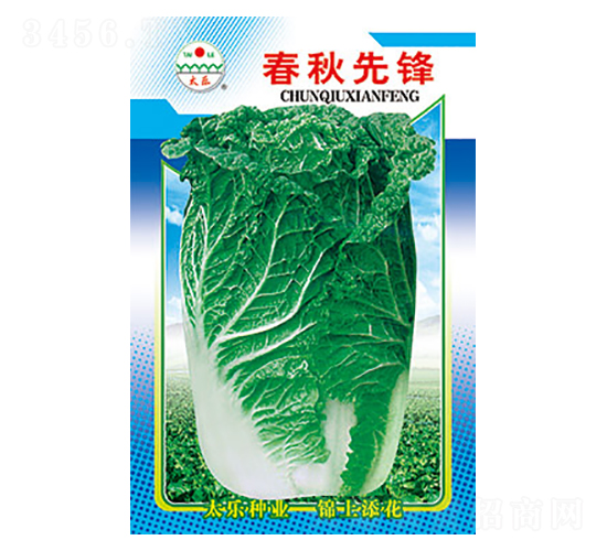 白菜種子-春秋先鋒-太樂種業(yè)