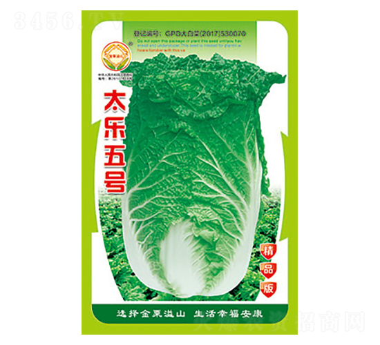 白菜種子-太樂五號精品版-太樂種業(yè)