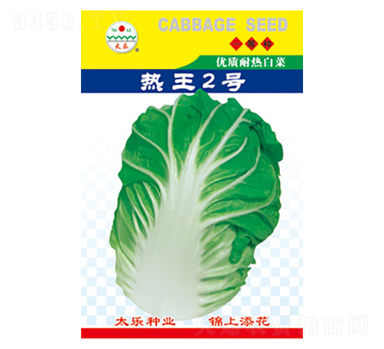 白菜種子-熱王2號(hào)-太樂種業(yè)