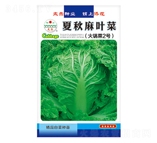 白菜種子-夏秋麻葉菜-太樂種業(yè)