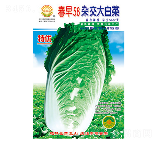 �ײ˷N��-����58-̫��(l��)�N�I(y��)