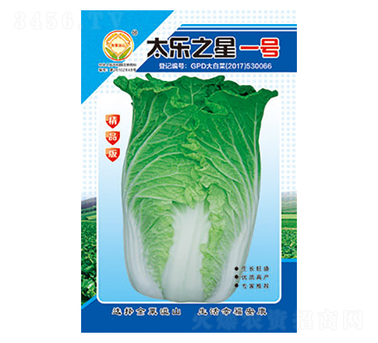 白菜種子-太樂之星一號(hào)精品版-太樂種業(yè)