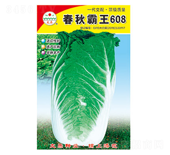 白菜種子-春秋霸王608-太樂種業(yè)