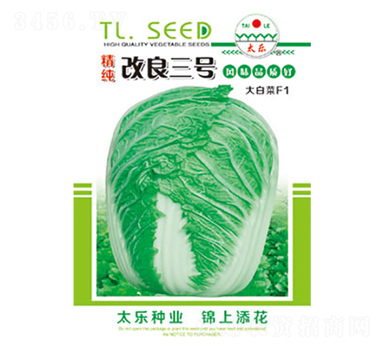 白菜種子-改良三號(hào)-太樂(lè)種業(yè)