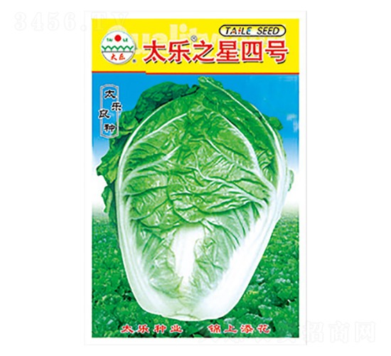 白菜種子-太樂之星四號-太樂種業(yè)