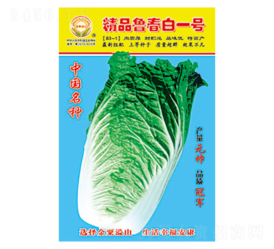 白菜種子-精品魯春白一號-太樂種業(yè)