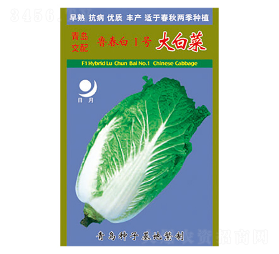 �ײ˷N��-������1̖(h��o)��ײ�-̫���N�I(y��)