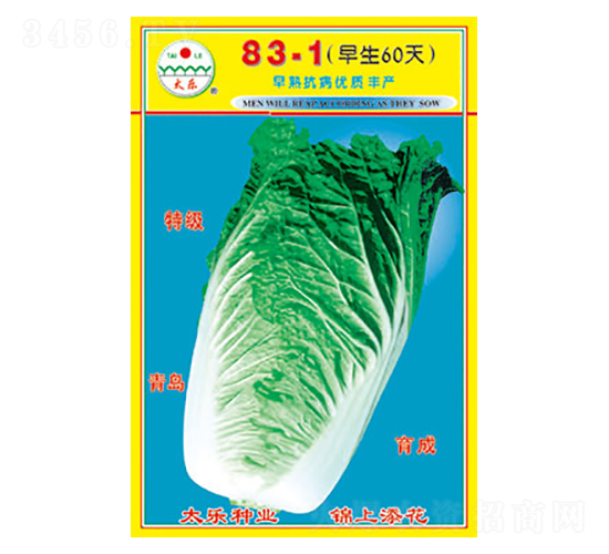 白菜種子-83-1-太樂種業(yè)
