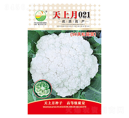 白花椰菜種子-天上月021-太樂種業(yè)
