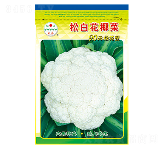 白花椰菜種子-松白花椰菜-太樂種業(yè)