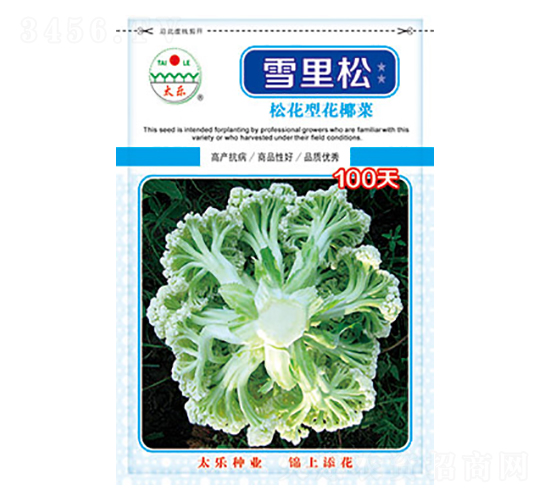 白花椰菜種子-雪里松100天-太樂種業(yè)